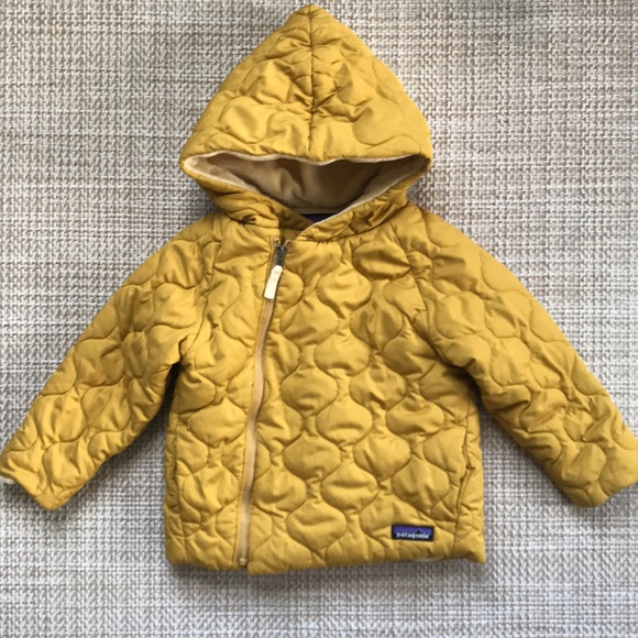 Patagonia Jacket (size 3T)